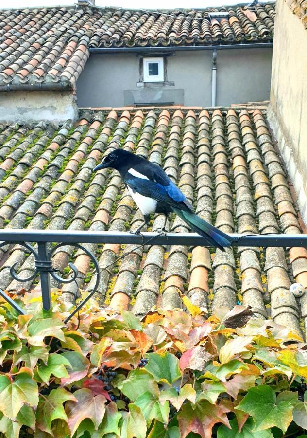 Maison De Maitre A Bram # Jacuzzi Exterior photo